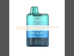 22000 Puffs 650mAh Capacity pin tái sử dụng Vape dùng một lần / Nicotine Rechargeable Vaporizer